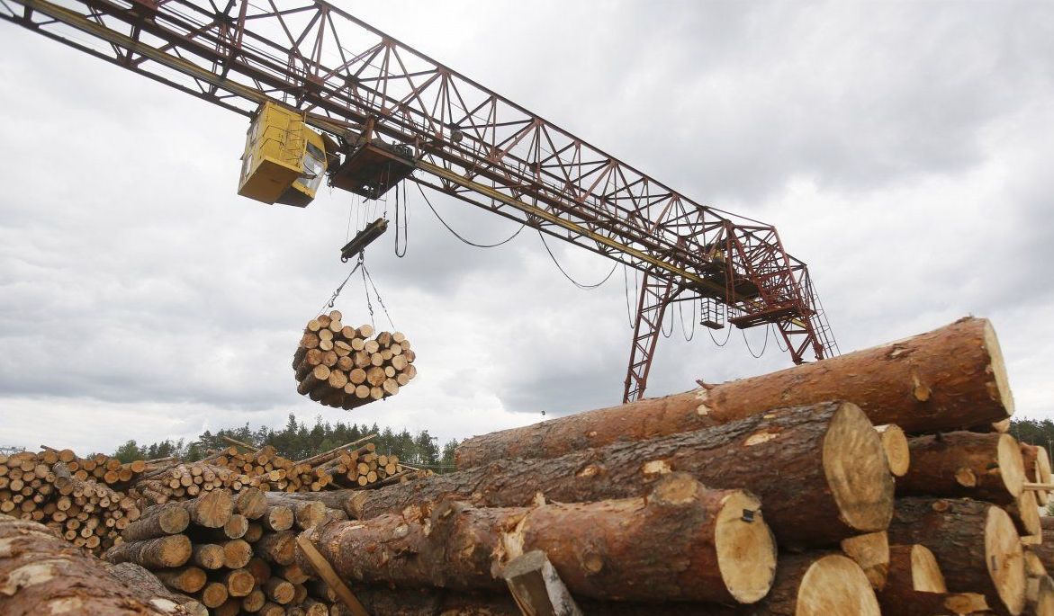 Рада отменила мораторий на экспорт леса
